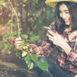 Rasen mähen, Pool saugen, Musik und Beleuchtung: Alexa im Garten
