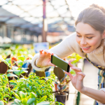 Das Smartphone im Garten