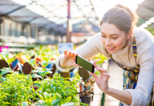 Das Smartphone im Garten