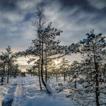 Hartlauer Schneewette 2021: Auch ohne Schneefall Preise gewinnen