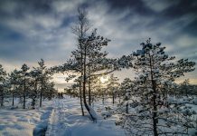 Hartlauer Schneewette 2021: Auch ohne Schneefall Preise gewinnen