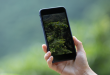 Grüne Technik: Zweites Leben für gebrauchte Smartphones