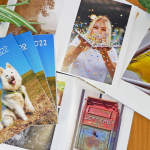 Gedruckte Erinnerungen: Fotoanbieter im Vergleich