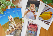 Gedruckte Erinnerungen: Fotoanbieter im Vergleich