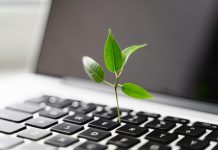 Die besten Apps für einen nachhaltigen Lebensstil