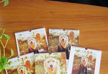 Acht Fotokalender-Anbieter im großen Vergleichstest