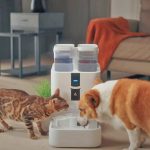 REALFOUNTAIN: WASSERSPENDER FÜR HAUSTIERE