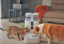 REALFOUNTAIN: WASSERSPENDER FÜR HAUSTIERE