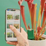 SmartyPlants: Pflanzenmonitor