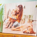 Der große Fototest 2025 – Unser Jahres-Resümee kürt die Spitzenreiter unter den Fotoanbietern.