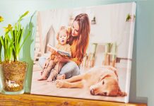 Der große Fototest 2025 – Unser Jahres-Resümee kürt die Spitzenreiter unter den Fotoanbietern.