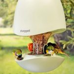 Sheggell: Smarter Vogelfutterspender mit Kamera
