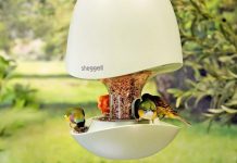 Sheggell: Smarter Vogelfutterspender mit Kamera