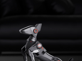 Crowdfunding-Gadgets im Check: Cynus, Sirius, Survival-X, D16 Pro