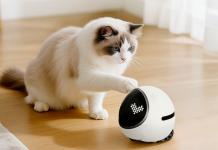 Crowdfunding-Gadgets im Check: eInkCal Mark II, Enor E1, Slo, Fabisense Mars