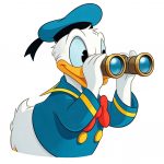 Bunte Vielfalt: MYPOSTER Disney-Kollektion im Test