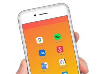 Praktische Reisebegleiter: Urlaubs- & Camping Apps im Überblick